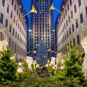 New York City November 28-30, 2025