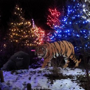 Columbus Zoo Lights November 29, 2026