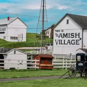 Brown Bag Tour of Amish Country Aug 13, 2026 $150pp