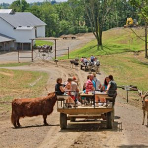 Farm Fun in Amish Country Oct 15, 2026 $150 pp