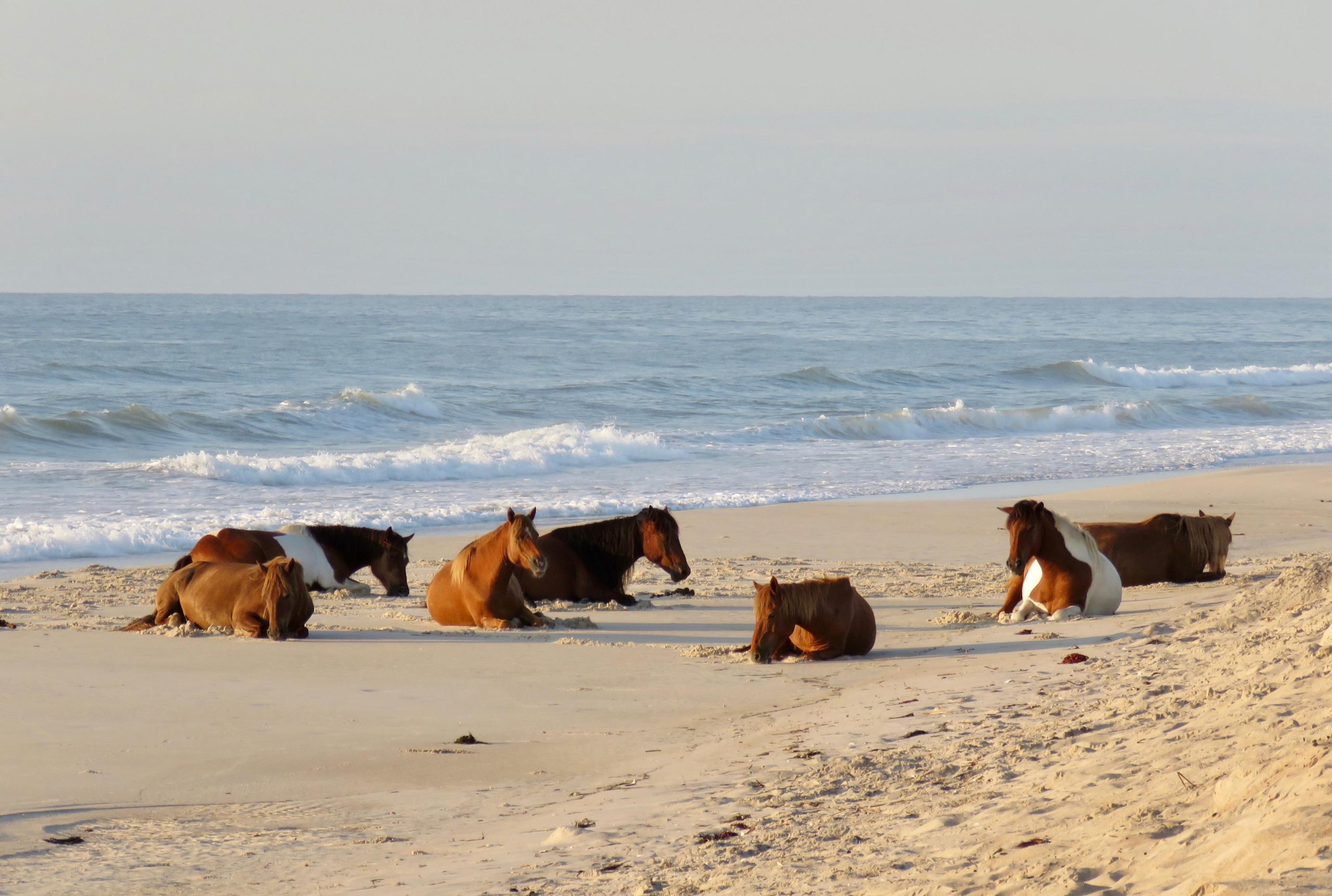 The Best of Ocean City, Aug 23-26, 2027 - Image 2