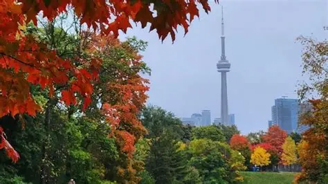 Ontario Rail Adventure October 19-23, 2026 - Image 4