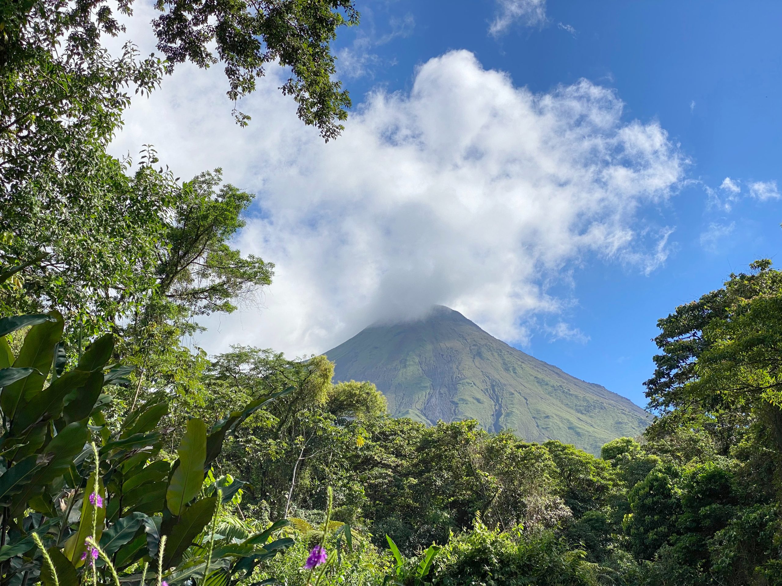 Tropical Costa Rica Jan 13-21, 2028 - Image 2
