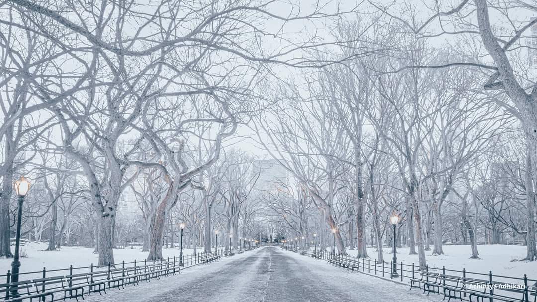 New York City, NY - Image 3