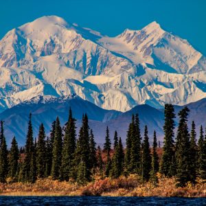 Denali Explorer Cruise Tour (Alaska) June 27-July 8, 2028