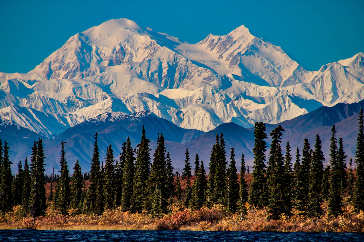Denali Explorer Cruise Tour (Alaska) June 27-July 8, 2028